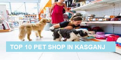 Top 10 Pet Shop in Kasganj